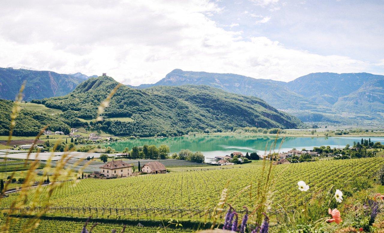 Blick auf den Kalterer See umrahmt von Weinbergen und Bergen