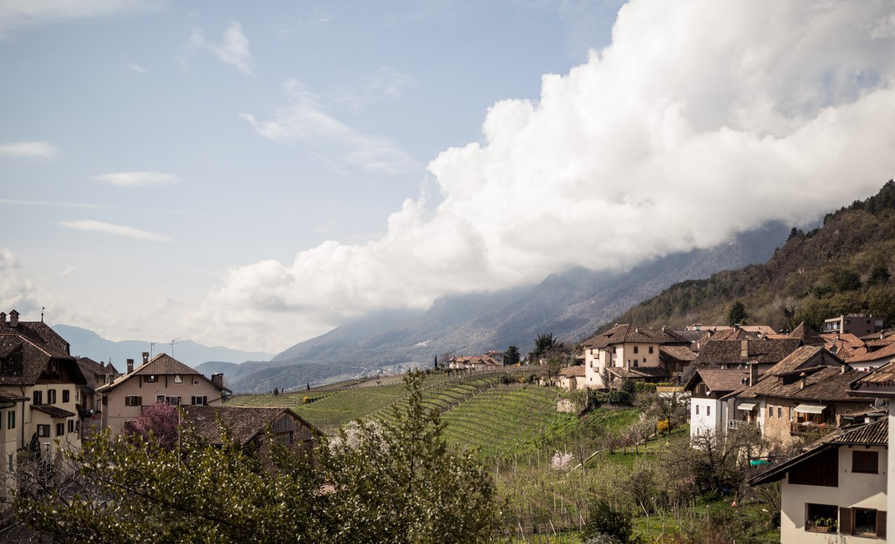Panoramablick über Oberplanitzing mit Weinbergen