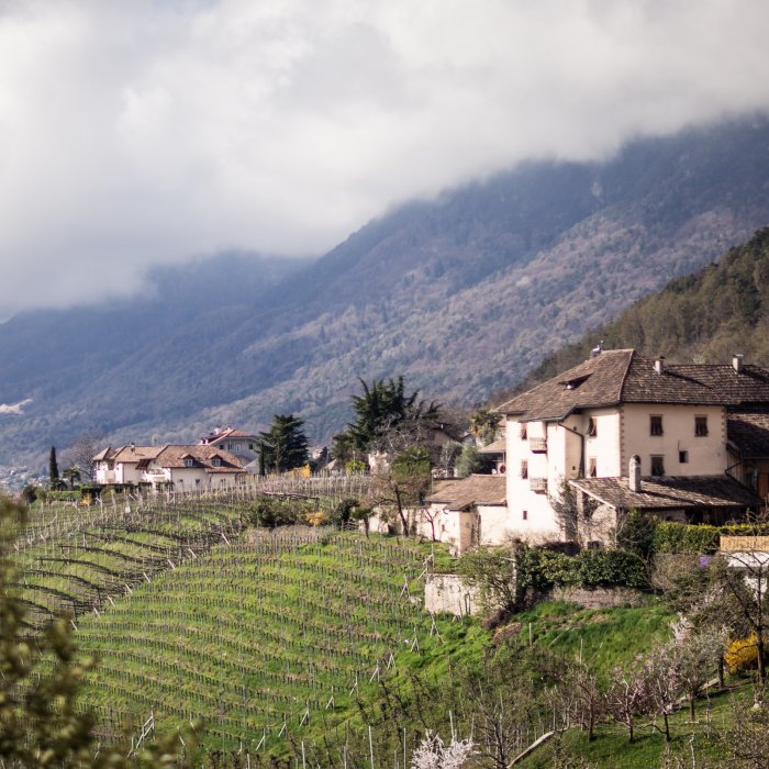 Panoramablick über Oberplanitzing und die Weinberge rund um Kaltern