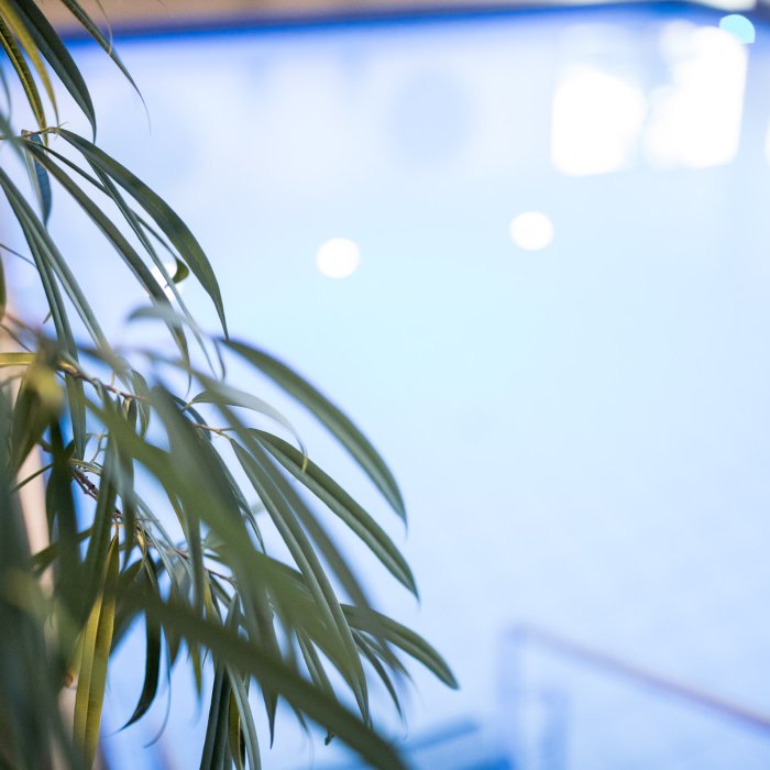 Detailaufnahme des Indoor-Pools im Hotel Masatsch mit grünen Blättern im Vordergrund